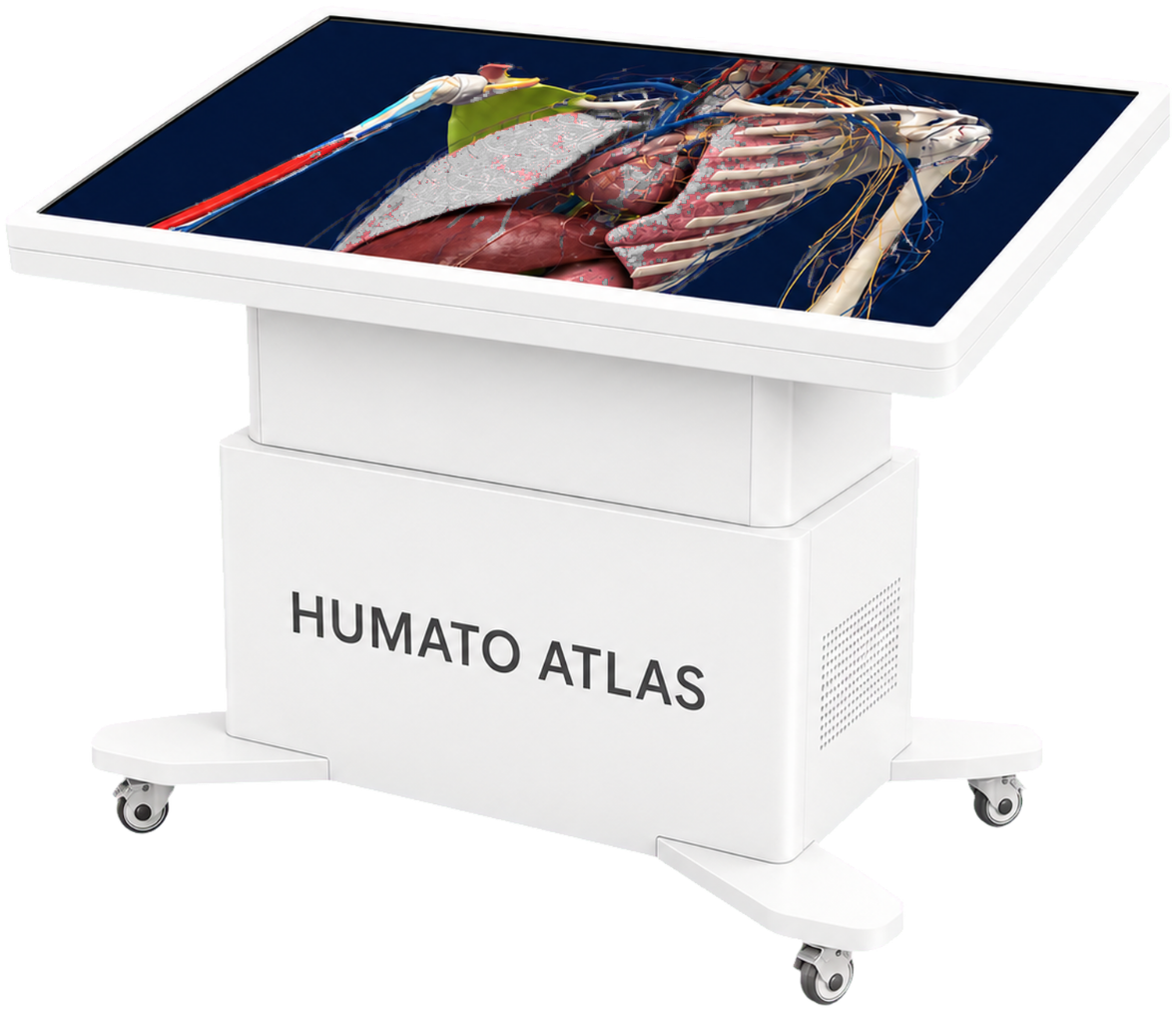 Humato ATLAS CLASSIC anatomy table